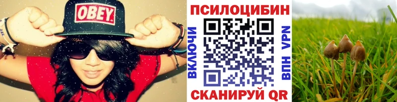kraken как войти  Сычёвка  Галлюциногенные грибы прущие грибы 